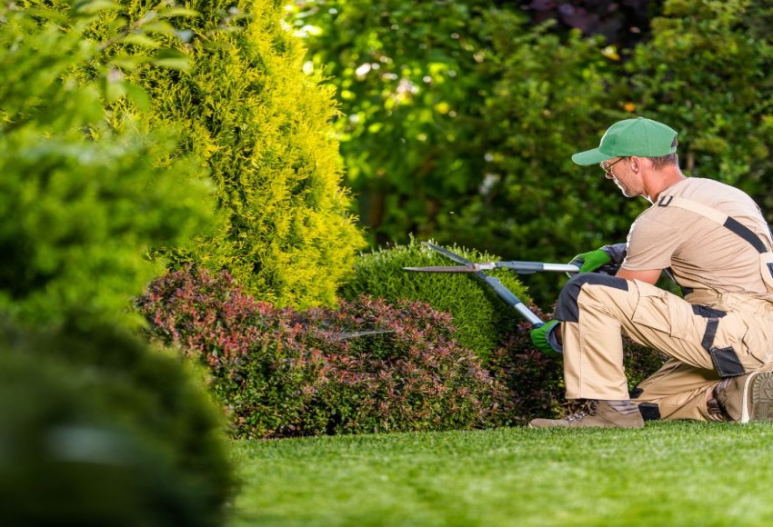 خدمات المسطحات الخضراء