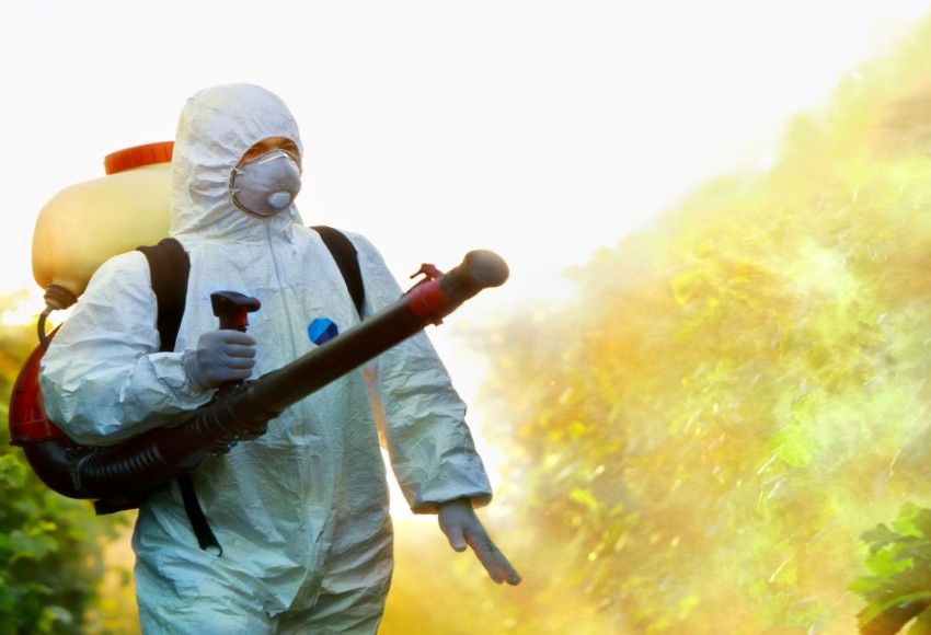 خدمات مكافحة الحشرات