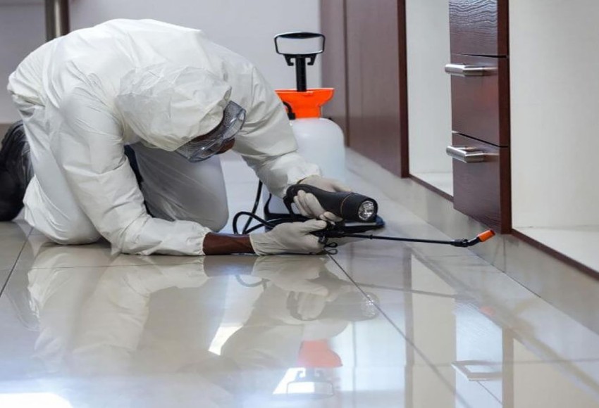 خدمات مكافحة الحشرات